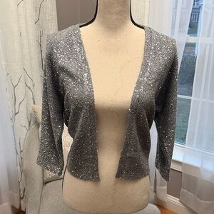 Express Metallic Silver Knit Sweater